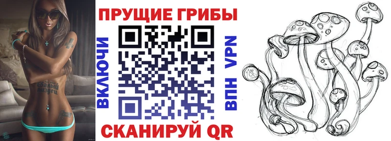 Псилоцибиновые грибы Psilocybe ссылка на мегу ссылки Дно наркота